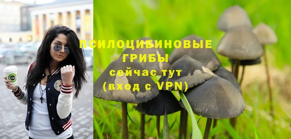 ПСИЛОЦИБИНОВЫЕ ГРИБЫ Алексеевка