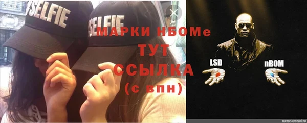 стафф Новокубанск