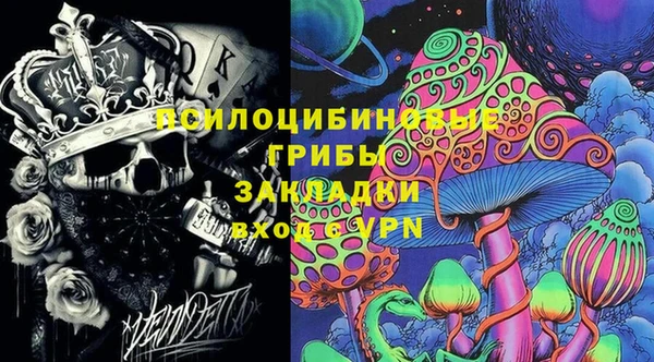 ПСИЛОЦИБИНОВЫЕ ГРИБЫ Алексеевка