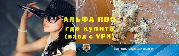 стафф Алексин